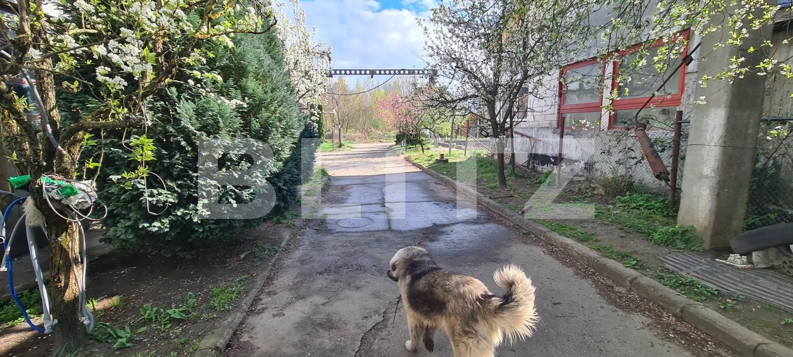 Teren de vânzare Zona Industriala - 138487TV | BLITZ Dej | Poza17