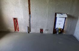 Casa la rosu cu Teren 12000 mp