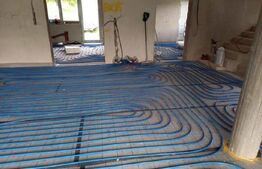 Casa la rosu cu Teren 12000 mp