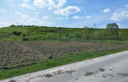 Teren 31 ari, zona linistita 