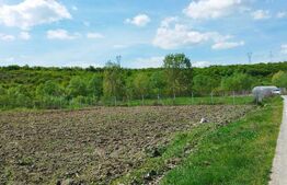 Teren 31 ari, zona linistita 