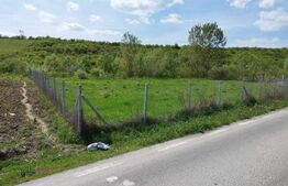 Teren 31 ari, zona linistita 