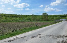 Teren 31 ari, zona linistita 