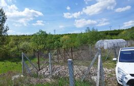 Teren 31 ari, zona linistita 