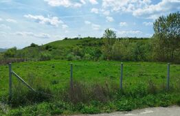 Teren 31 ari, zona linistita 