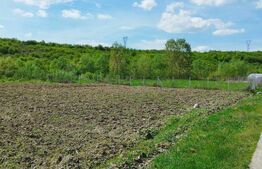 Teren 31 ari, zona linistita 