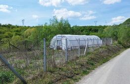 Teren 31 ari, zona linistita 