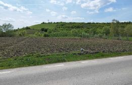 Teren 31 ari, zona linistita 