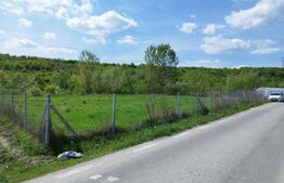 Teren 31 ari, zona linistita 