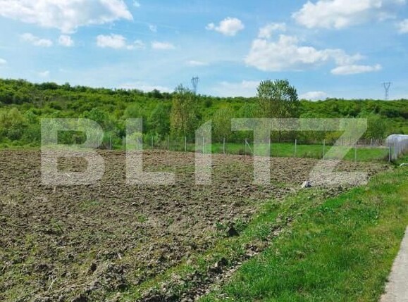 Teren de vânzare Nord - 139083TV | BLITZ Dej | Poza8