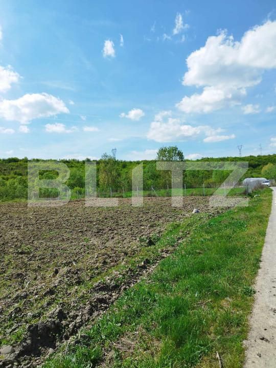 Teren de vânzare Nord - 139083TV | BLITZ Dej | Poza10