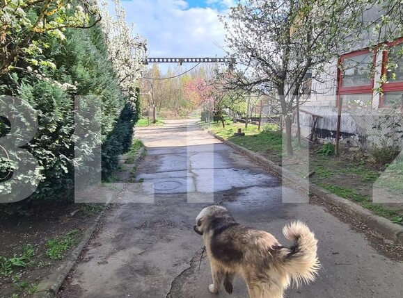 Spațiu industrial de vânzare Nord - 139148SVI | BLITZ Dej | Poza14