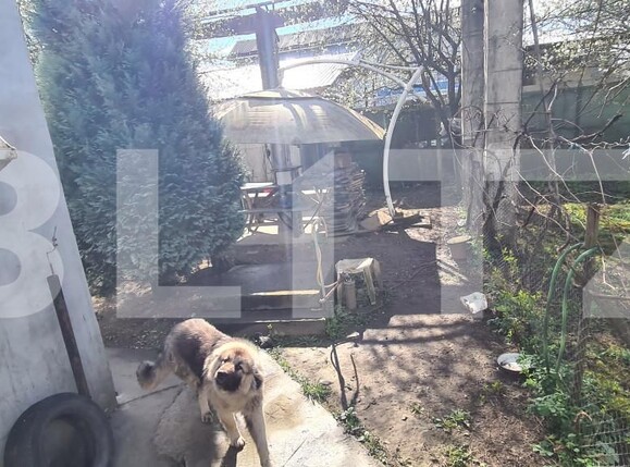 Spațiu industrial de vânzare Nord - 139148SVI | BLITZ Dej | Poza17