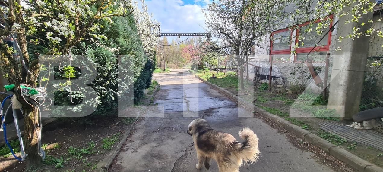 Spațiu industrial de vânzare Nord - 139148SVI | BLITZ Dej | Poza14