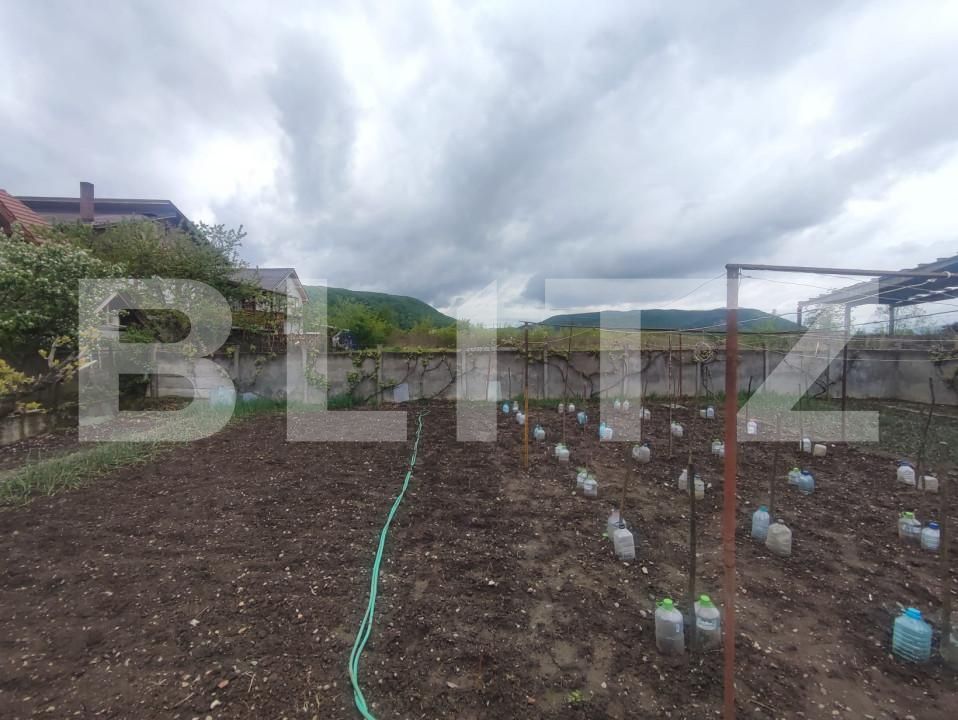 Spațiu industrial de vânzare Est - 139318SVI | BLITZ Dej | Poza2