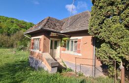 Casa in valea jichisului,  zona frumoasa cu teren 3893mp