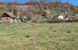 Casa in valea jichisului,  zona frumoasa cu teren 3893mp