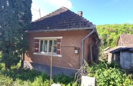 Casa in valea jichisului,  zona frumoasa cu teren 3893mp