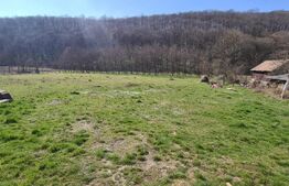 Casa in valea jichisului,  zona frumoasa cu teren 3893mp