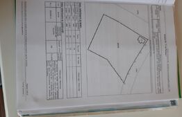 Casa in valea jichisului,  zona frumoasa cu teren 3893mp