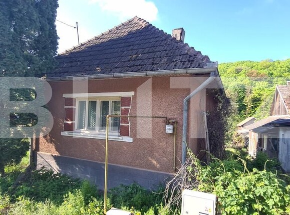 Casa de vânzare 2 camere Sud-Est  - 140009CV | BLITZ Dej | Poza1