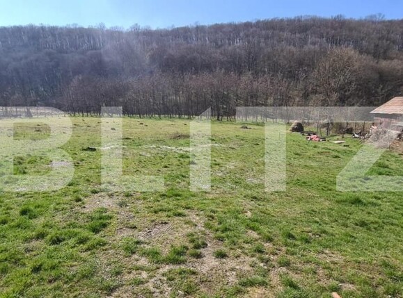 Casa de vânzare 2 camere Sud-Est  - 140009CV | BLITZ Dej | Poza9