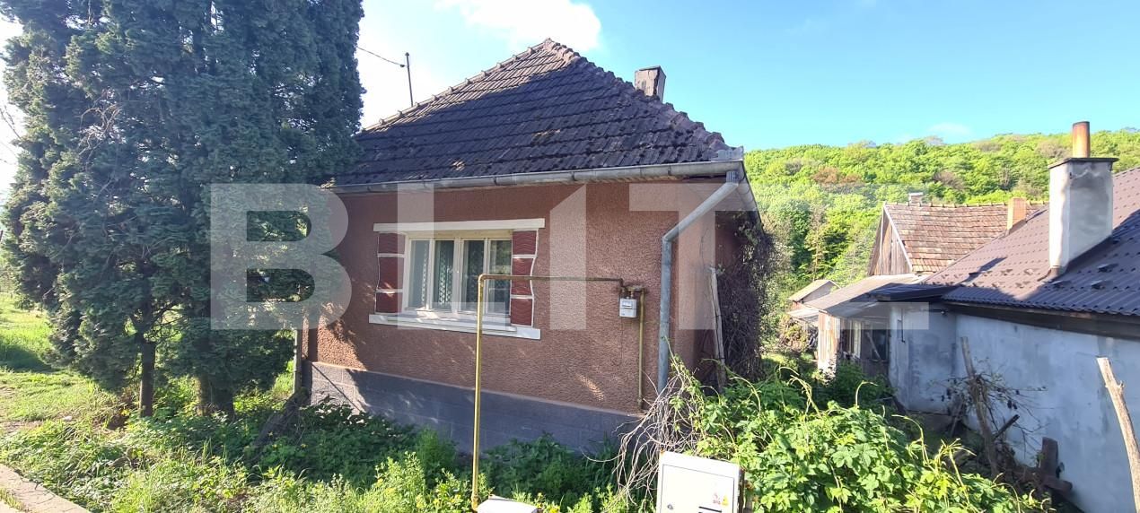 Casa de vânzare 2 camere Sud-Est  - 140009CV | BLITZ Dej | Poza1
