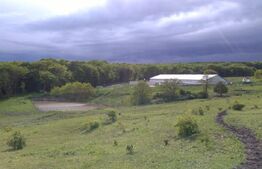 Hale si teren ,curte betonata , destinatii multiple 