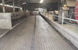 Hale si teren ,curte betonata , destinatii multiple 