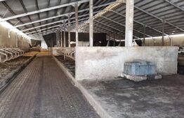 Hale si teren ,curte betonata , destinatii multiple 