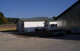 Hale si teren ,curte betonata , destinatii multiple 