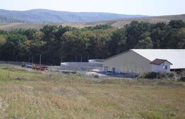 Hale si teren ,curte betonata , destinatii multiple 