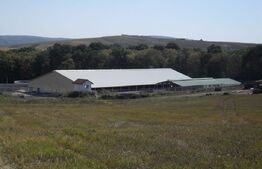 Hale si teren ,curte betonata , destinatii multiple 