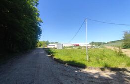 Hale si teren ,curte betonata , destinatii multiple 