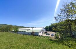 Hale si teren ,curte betonata , destinatii multiple 