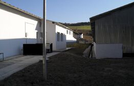 Hale si teren ,curte betonata , destinatii multiple 