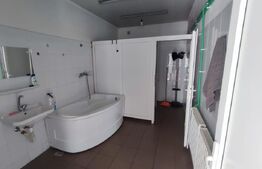 Hale si teren ,curte betonata , destinatii multiple 