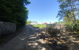 Hale si teren ,curte betonata , destinatii multiple 