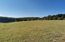 Hale si teren ,curte betonata , destinatii multiple 