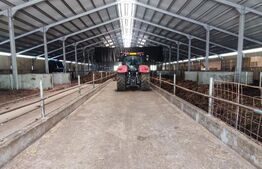 Hale si teren ,curte betonata , destinatii multiple 