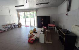 Hale si teren ,curte betonata , destinatii multiple 