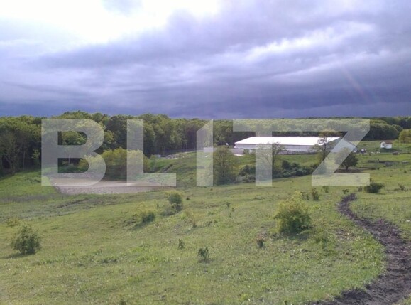 Spațiu industrial de vânzare Vest - 150161SVI | BLITZ Dej | Poza4