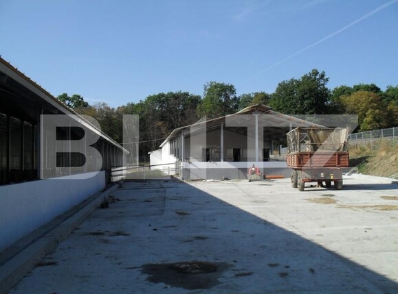 Spațiu industrial de vânzare Vest - 150161SVI | BLITZ Dej | Poza11