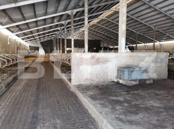 Spațiu industrial de vânzare Vest - 150161SVI | BLITZ Dej | Poza10