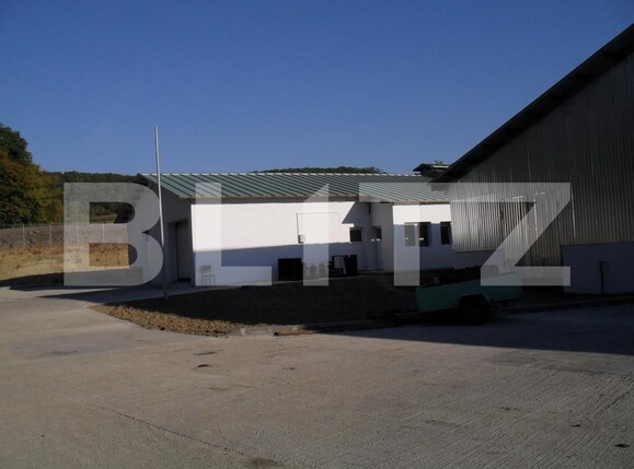 Spațiu industrial de vânzare Vest - 150161SVI | BLITZ Dej | Poza12