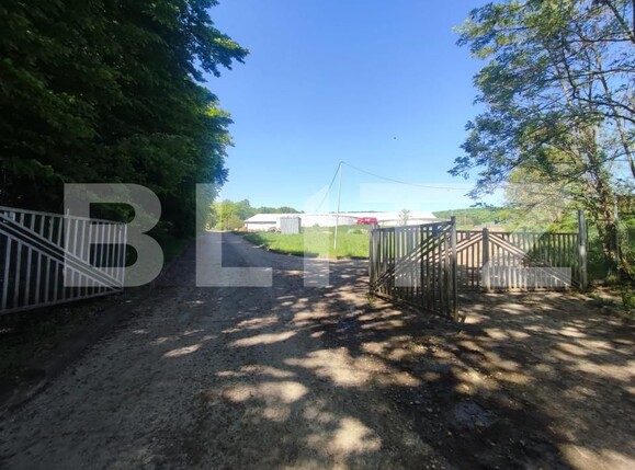 Spațiu industrial de vânzare Vest - 150161SVI | BLITZ Dej | Poza8