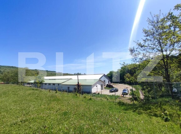 Spațiu industrial de vânzare Vest - 150161SVI | BLITZ Dej | Poza6