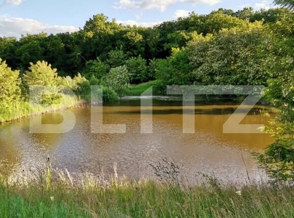 Spațiu industrial de vânzare Vest - 150161SVI | BLITZ Dej | Poza5