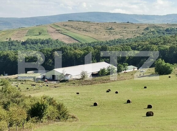 Spațiu industrial de vânzare Vest - 150161SVI | BLITZ Dej | Poza1