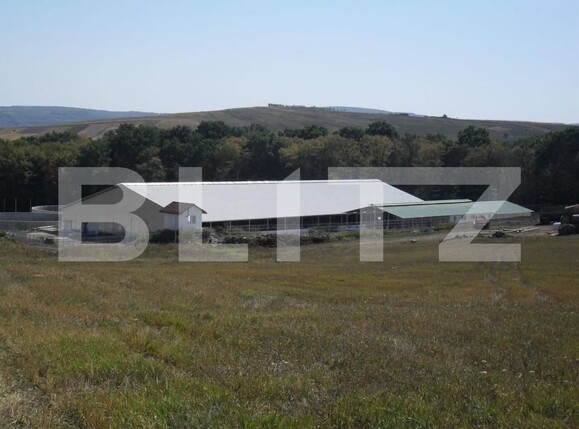 Spațiu industrial de vânzare Vest - 150161SVI | BLITZ Dej | Poza10